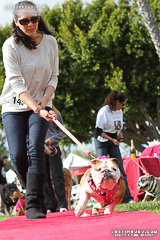 Bulldog Beauty Contest, Long Beach, Calif.